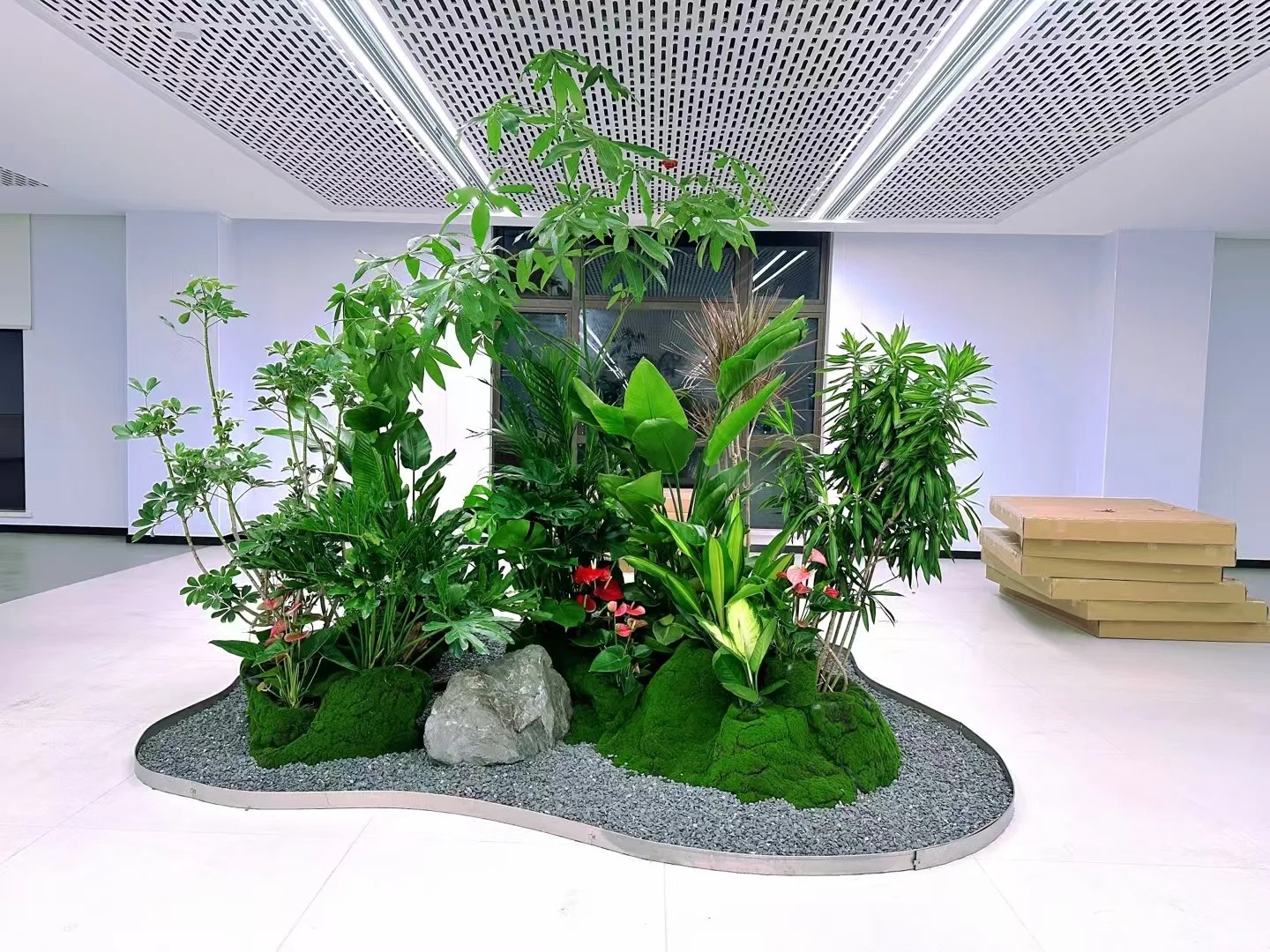 了解北仑花卉出租方案，装扮魅力空间